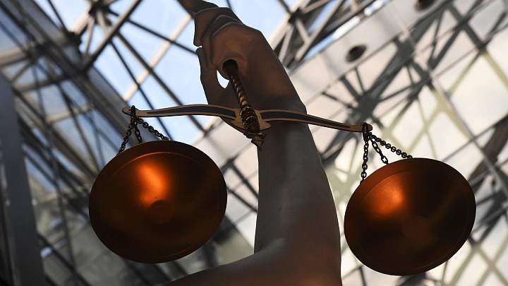 Приморец предстанет перед судом за незаконную рубку лесных насаждений