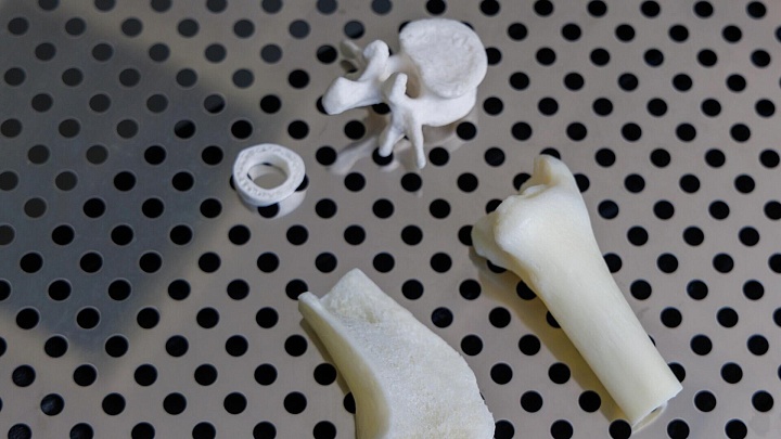 Сибирские ученые создали костные имплантаты из отходов